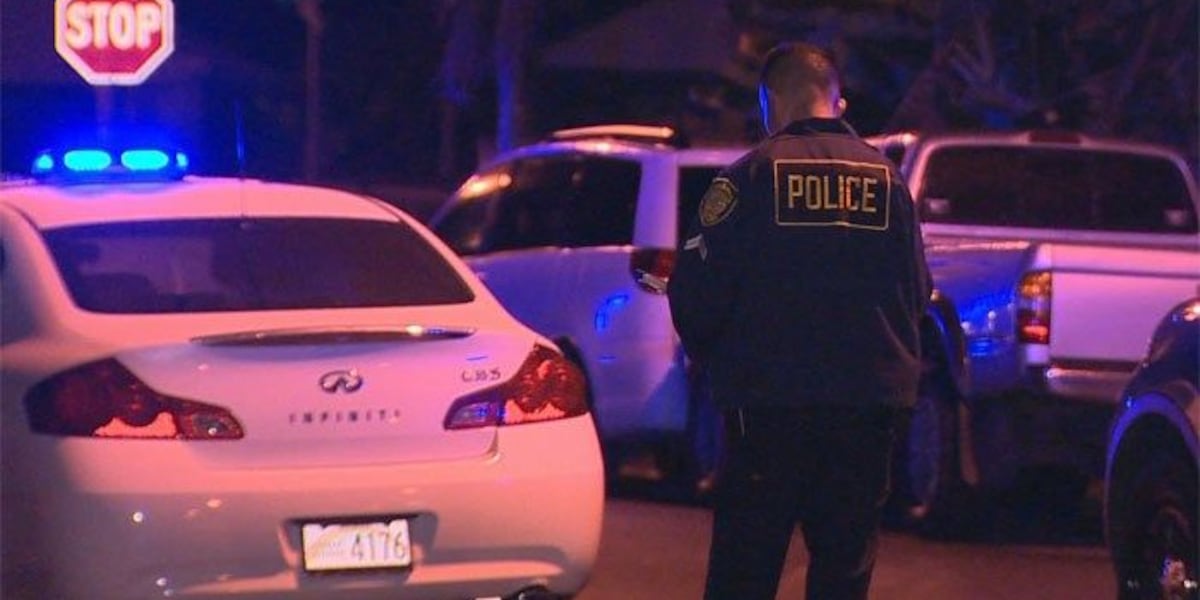 Whitmore Connection Four arrested in connection with months-old Whitmore Village murder