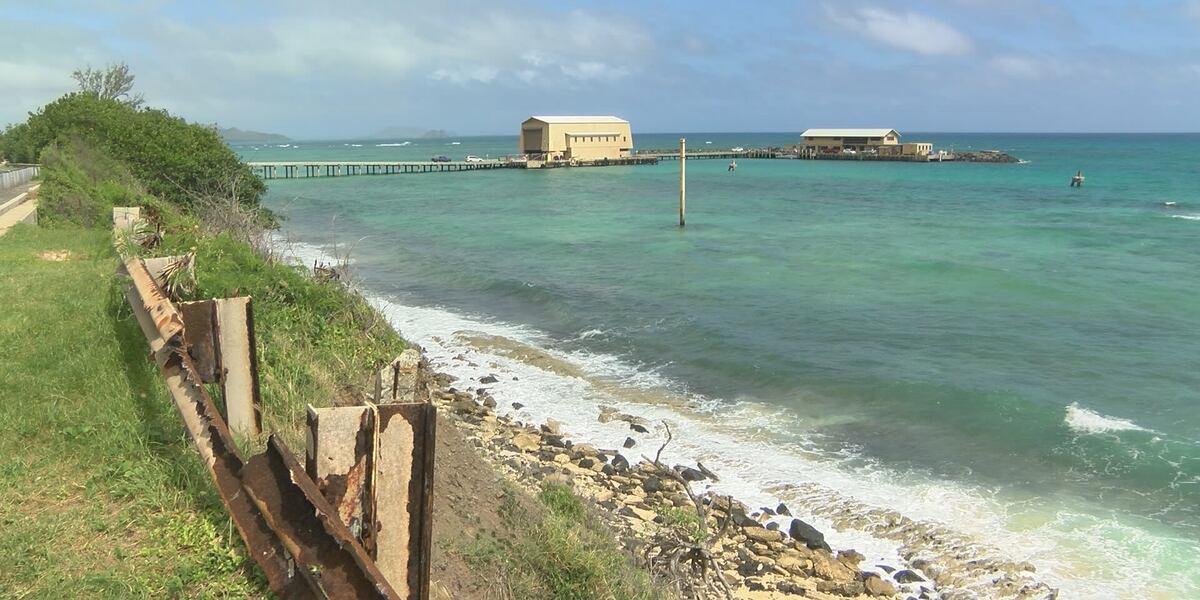 www.hawaiinewsnow.com