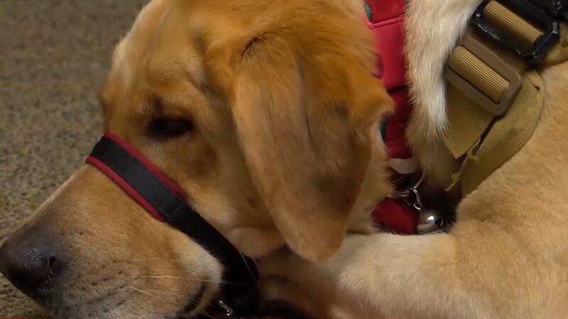 A Birmingham resident is suing the city of Cullman and Kissel Entertainment after he says his...