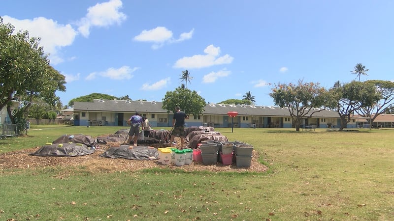 Windward Waste School Hui said they are expecting a massive