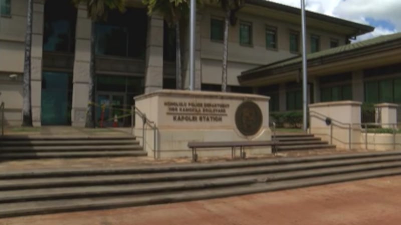 New court papers alleged that a witness told a police officer that Linda Johnson was being...