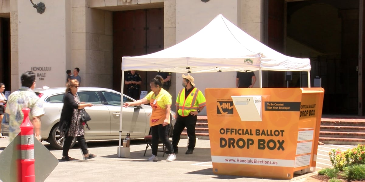 Hawaii officials defend local election security