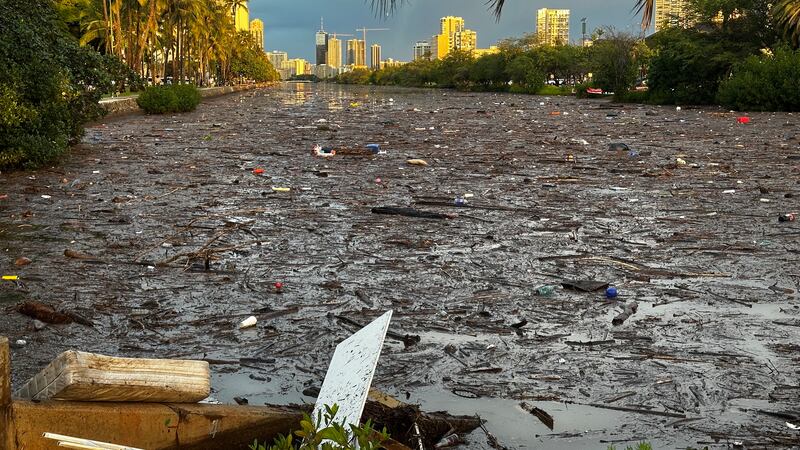 Trash floods Ala Wai following heavy downpours.