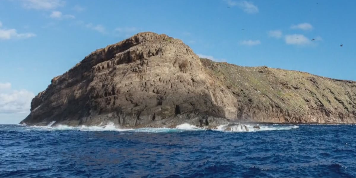 Lawmakers demand answers from Navy on dummy bombing plan of remote Hawaiian island Lawmakers demand answers from Navy on dummy bombing plan of remote Hawaiian island