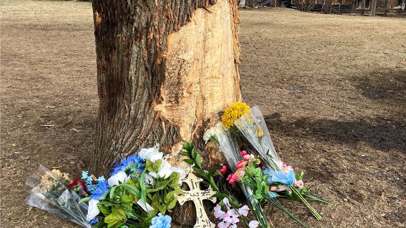 A memorial is left at the base of a tree involved in a fatal crash in the Neenah area.