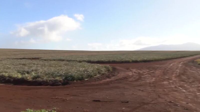 Wahiawa residents spoke out against a proposed landfill on agricultural land during a town hall.