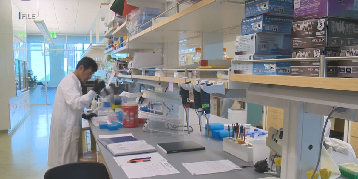 Maui Wildfire Health Crisis: UH Study Reveals Alarming Post-Disaster Health Concerns