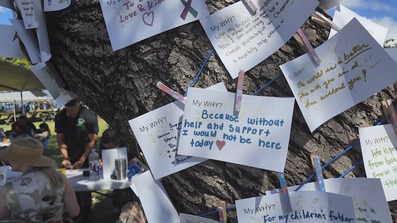 Hundreds gathered at Magic Island for the annual "Out of the Darkness Walk" to support suicide...