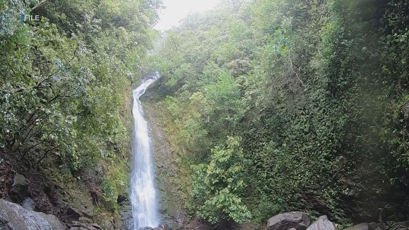 EMS had to administer advanced life support on a 25-year-old man who was seriously injured on...