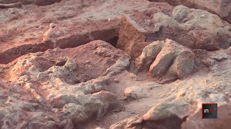 Arizona man finds hundreds of tracks predating dinosaurs on his property