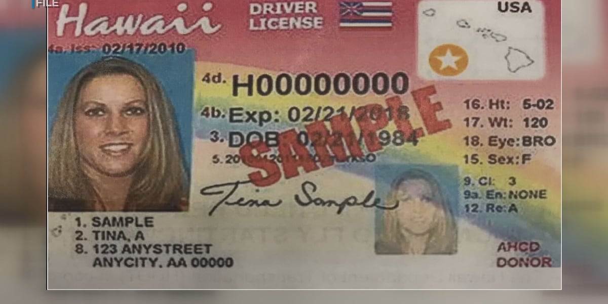 Hi Dl Example 95% of Hawaii driver’s licenses, IDs compliant as REAL ID deadline nears