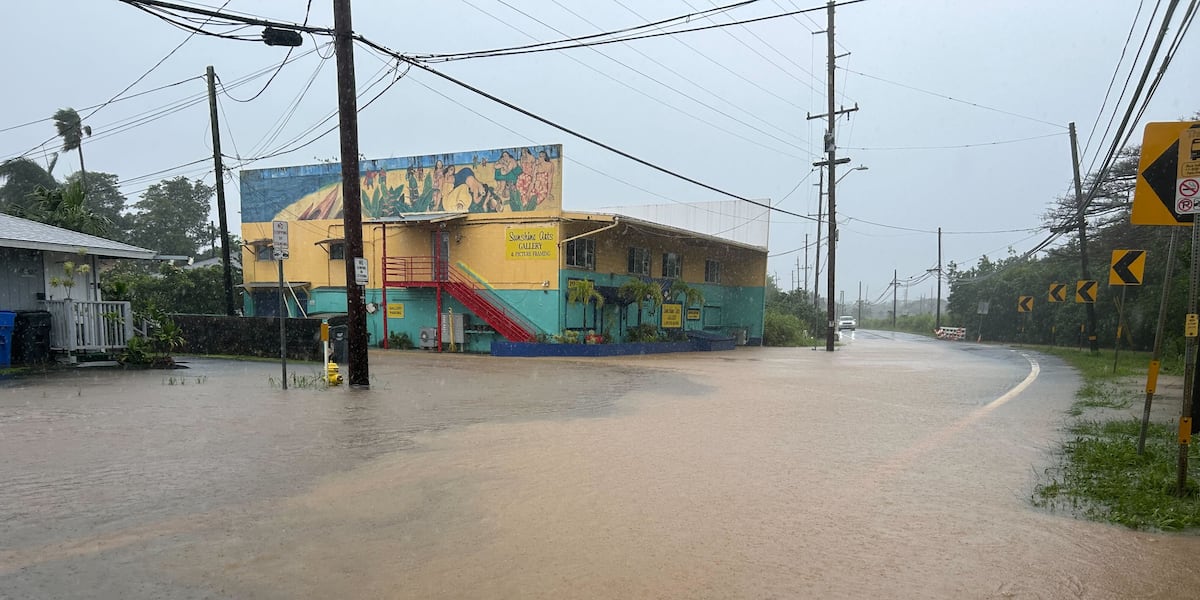 Disaster loans available to businesses, nonprofits and residents affected by Kona low storms