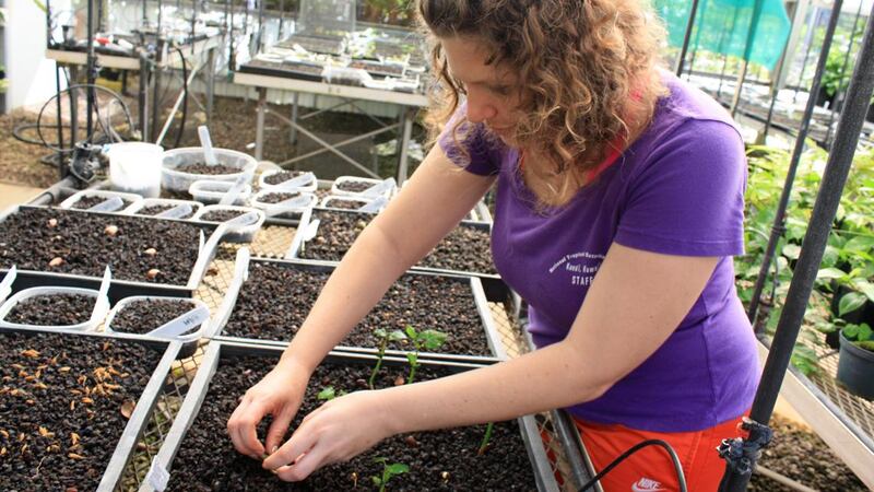 The National Tropical Botanical Garden is launching a new program to further its mission to...