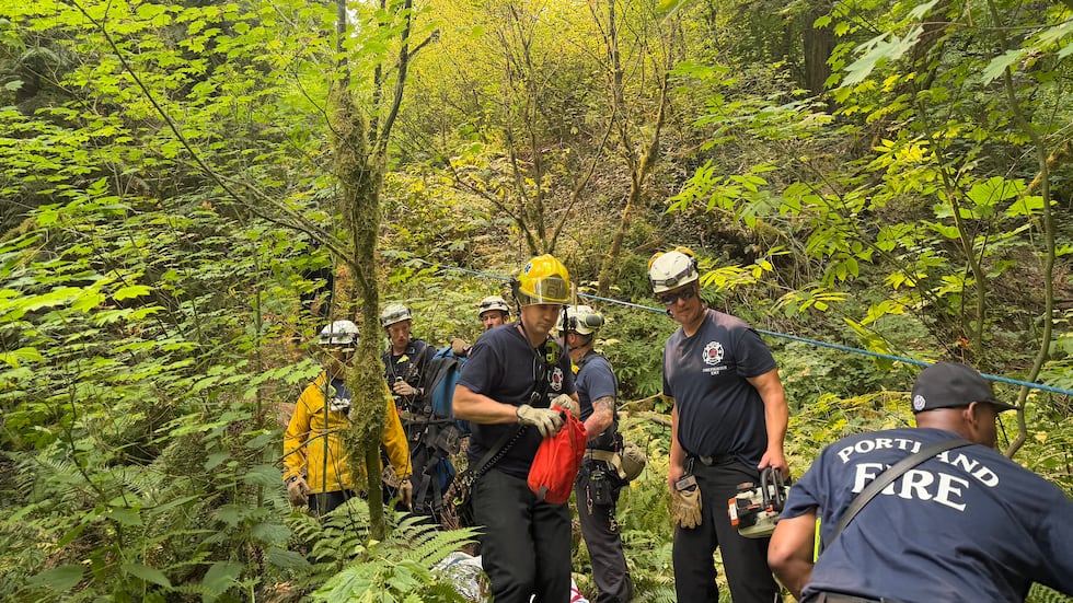 An arborist died after being hit by a falling tree in northwest Portland on Tuesday morning,...