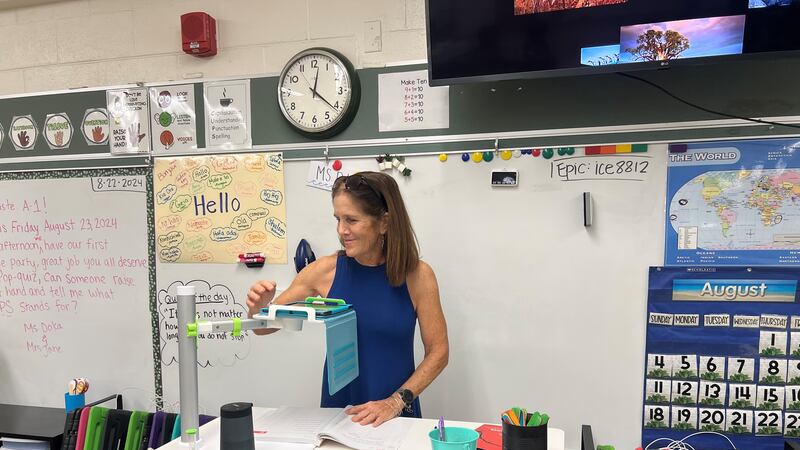 State agencies are working to build an apprenticeship program to support young educators.