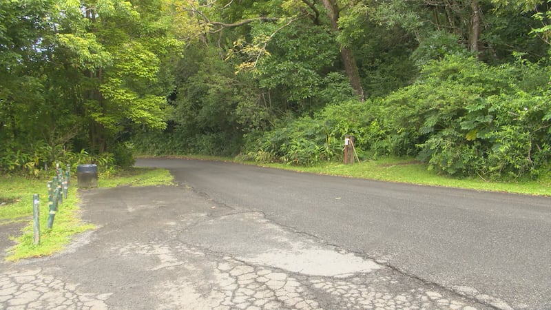 A woman was shot in the torso during an argument in Kahuku, and a second woman entered a...