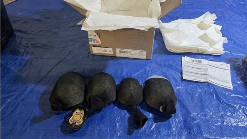 This photo provided by U.S. Dept. of Justice, shows intercepted eastern box turtles that a New...