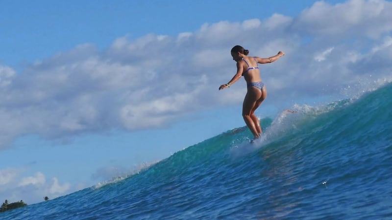 The Hawaii State Legislature appropriated nearly $700,000 over the next two fiscal years to...