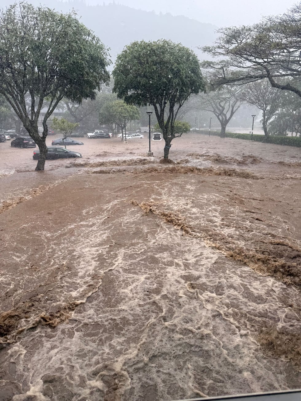 Flooding on Woodlawn Drive near Manoa Marketplace