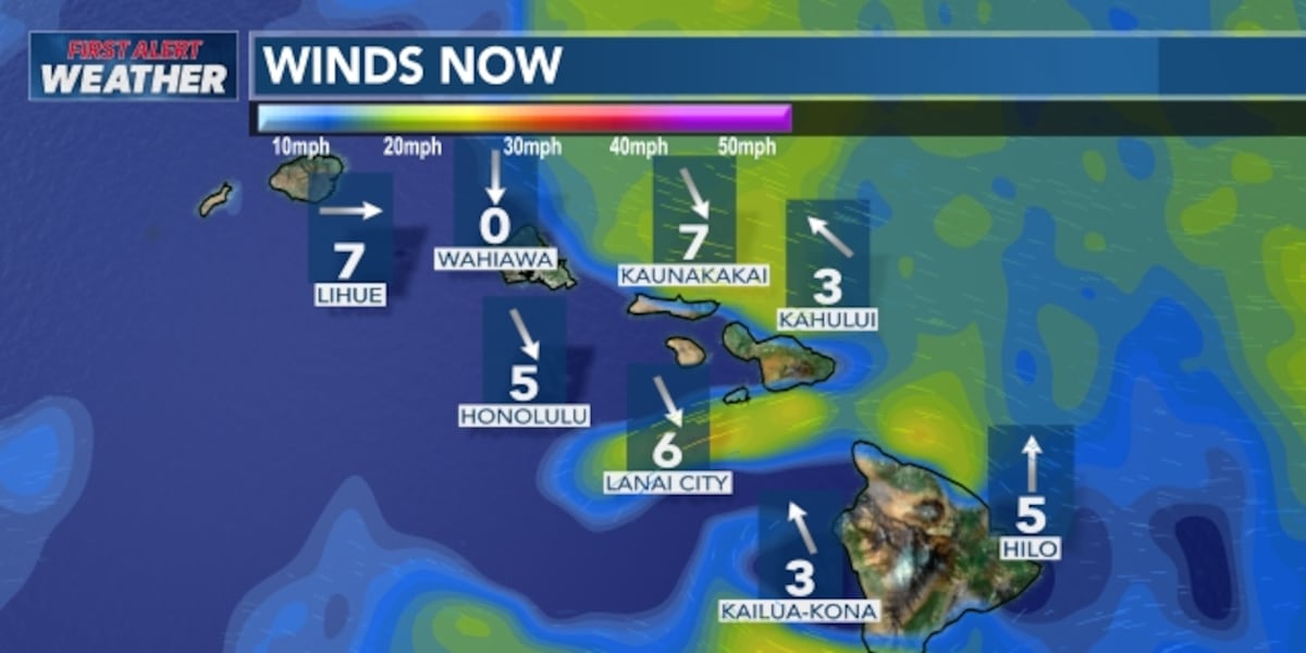 First Alert Forecast: Trade winds returning after Fausto's passage