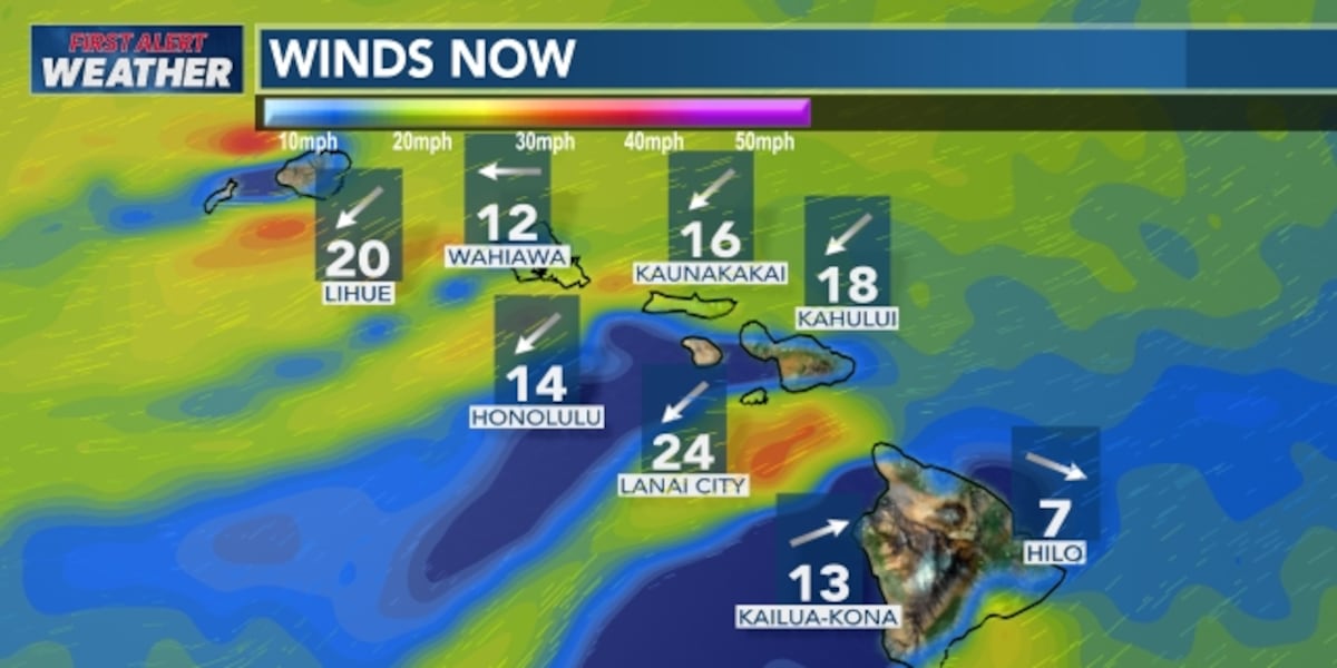 First Alert Forecast: Trade winds to ease with more showers possible midweek