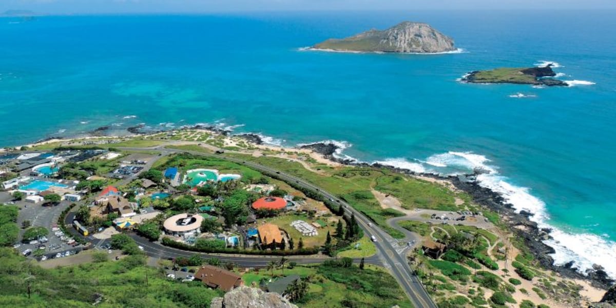 Hawaiian Council Takes the Helm: Revolutionizing Sea Life Park's Future