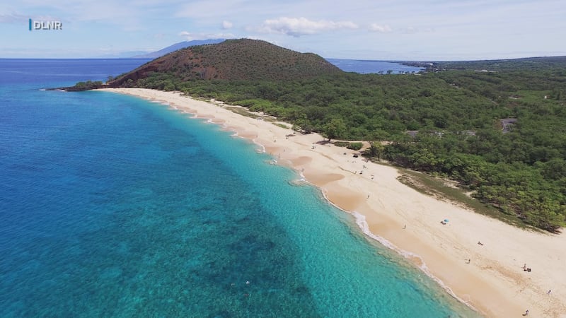 State officials clarified their proposed upgrades for Makena State Park after rumors about the...