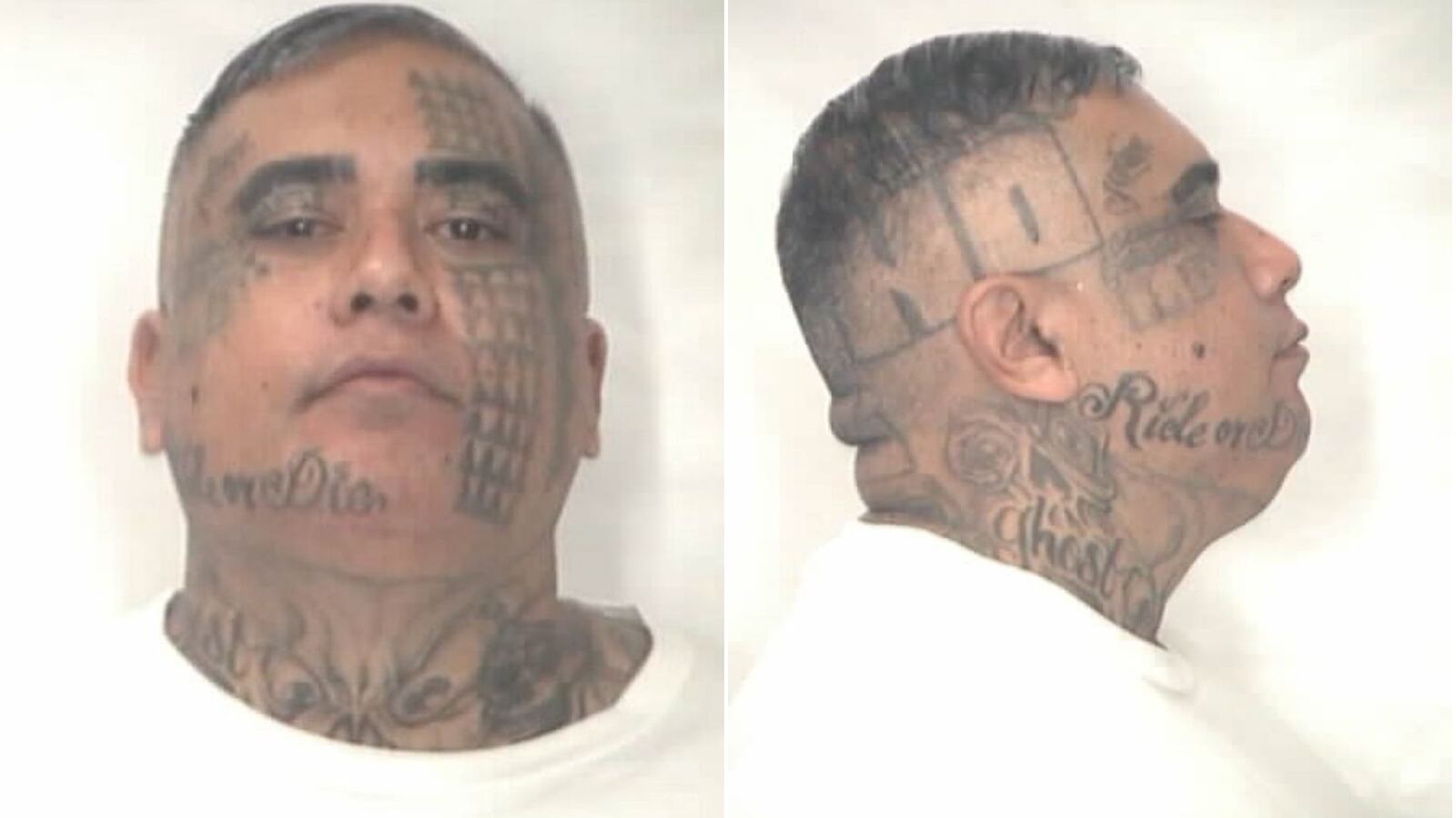 Missing My Inmate Missing work furlough inmate voluntarily returns to OCCC
