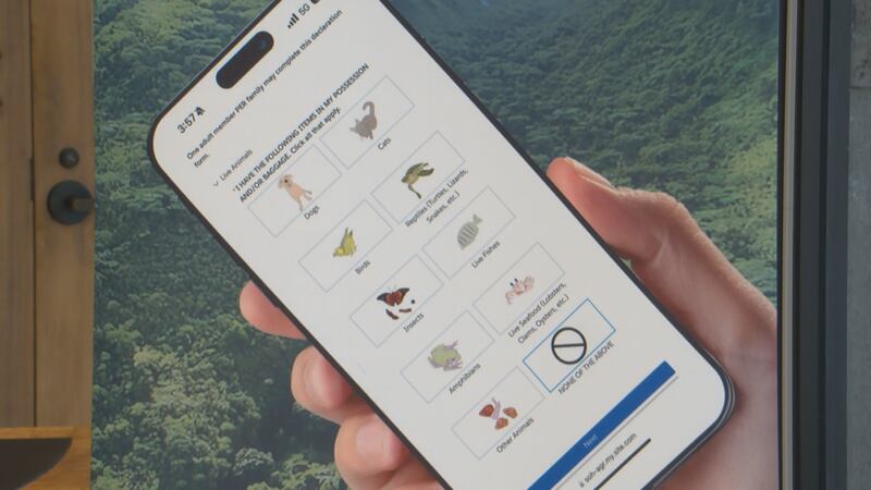 Hawaii extends digital declaration form pilot program