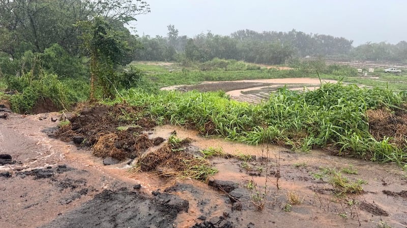A Waialua farm is battered three times by storms