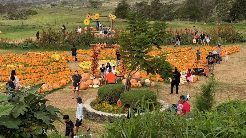 The annual Kamaaina Sunday event will run from 9 a.m. to 4 p.m. on Oct. 25.