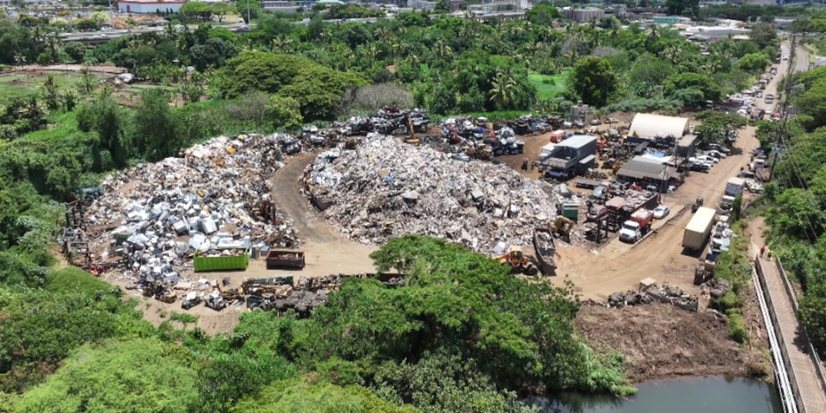 Junkyard fined $55,000 over Waiawa Stream pollution and health fears - health news