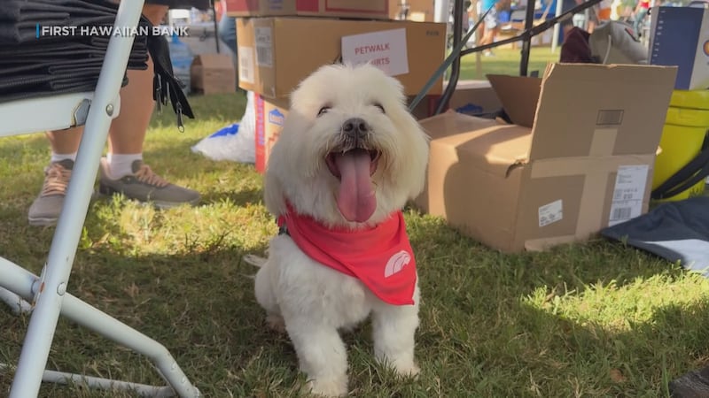 More than 1,100 pet lovers and their furry friends took part in the 1.8-mile stroll through...