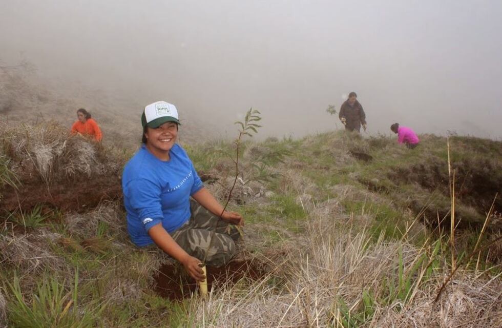 Courtesy: Kirsten Gallaher