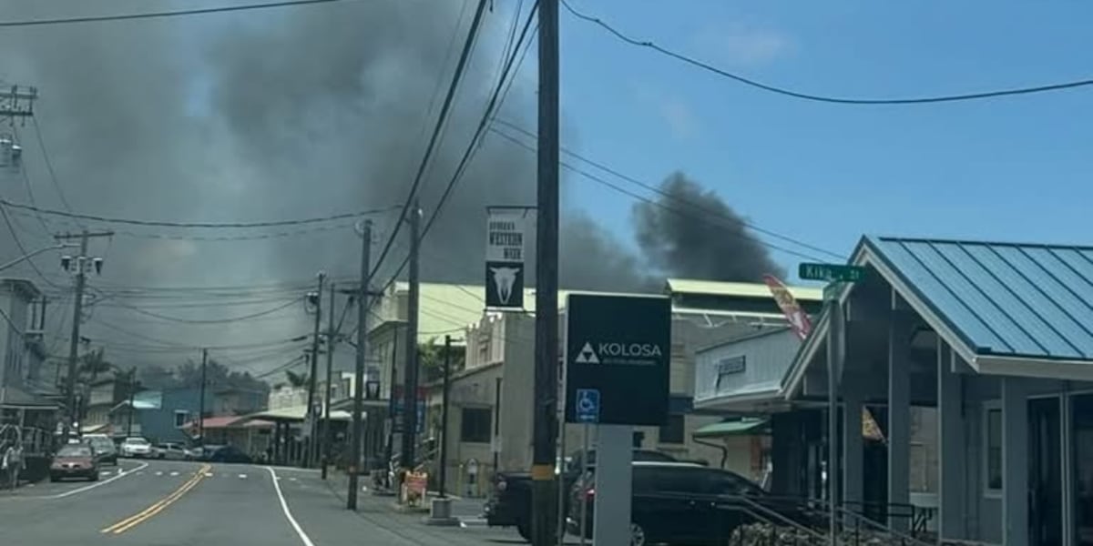 Strong winds spread fire from abandoned vehicles to surrounding brush on Hawaii Island Strong winds spread fire from abandoned vehicles to surrounding brush on Hawaii Island