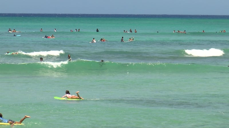 The Honolulu Ocean Safety Department said the incident happened at about 10:19 a.m., about 100...