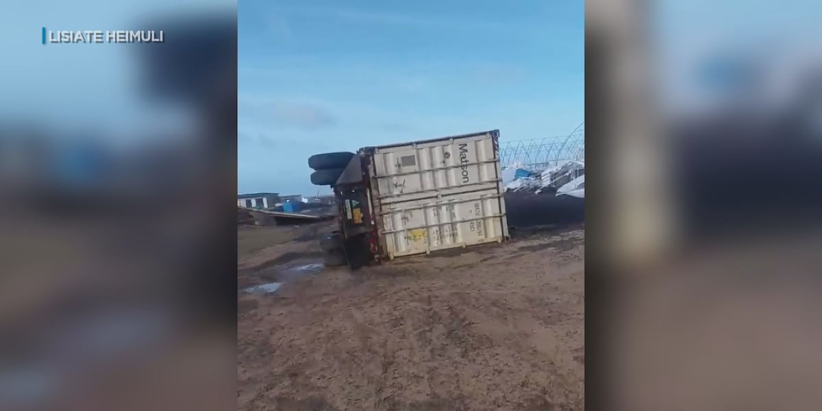 Hurricane Lowell leaves Kauai farm racing to save shrimp, assess crop damage
