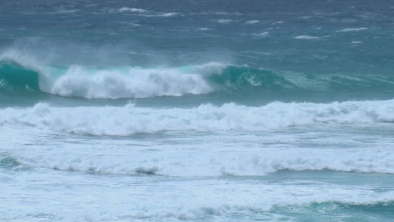 Strong winds and rough surf from Hurricane Nolo are being felt across Oahu, from Manoa to...