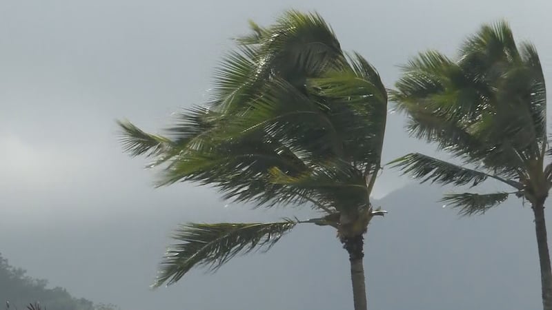 Stormy, windy weather in Hawaii generic
