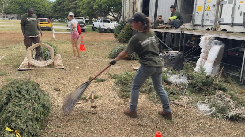 State works reduce 36,000 backlog for key business tax credit