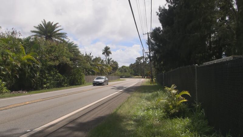 A woman was shot in the torso during an argument in Kahuku, and a second woman entered a...