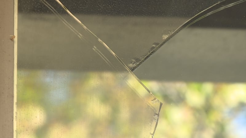 Smash-and-grab thieves ransack 5 different Oahu businesses over weekend