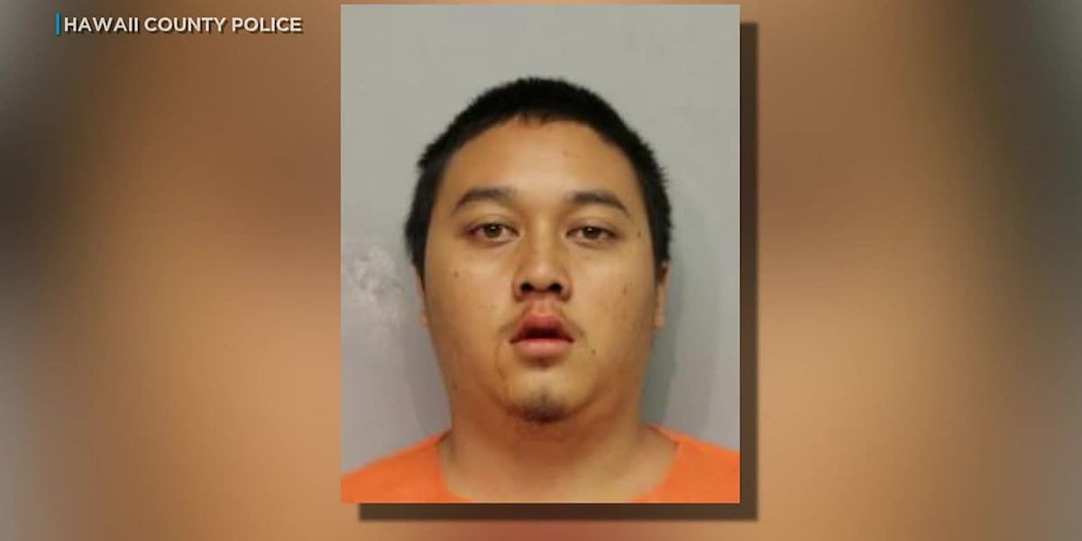 Hilo murder suspect remains unfit to proceed, committed to state hospital