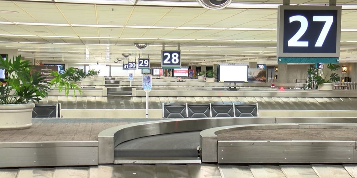 Homeless who fly to Hawaii will be given an option: Turn around or get ...