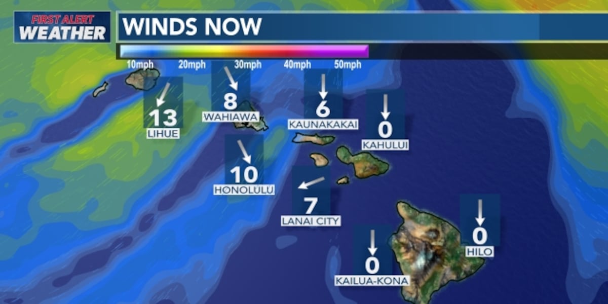 First Alert Forecast: Light wind, chance of locally heavy rain as Fausto passes to the north