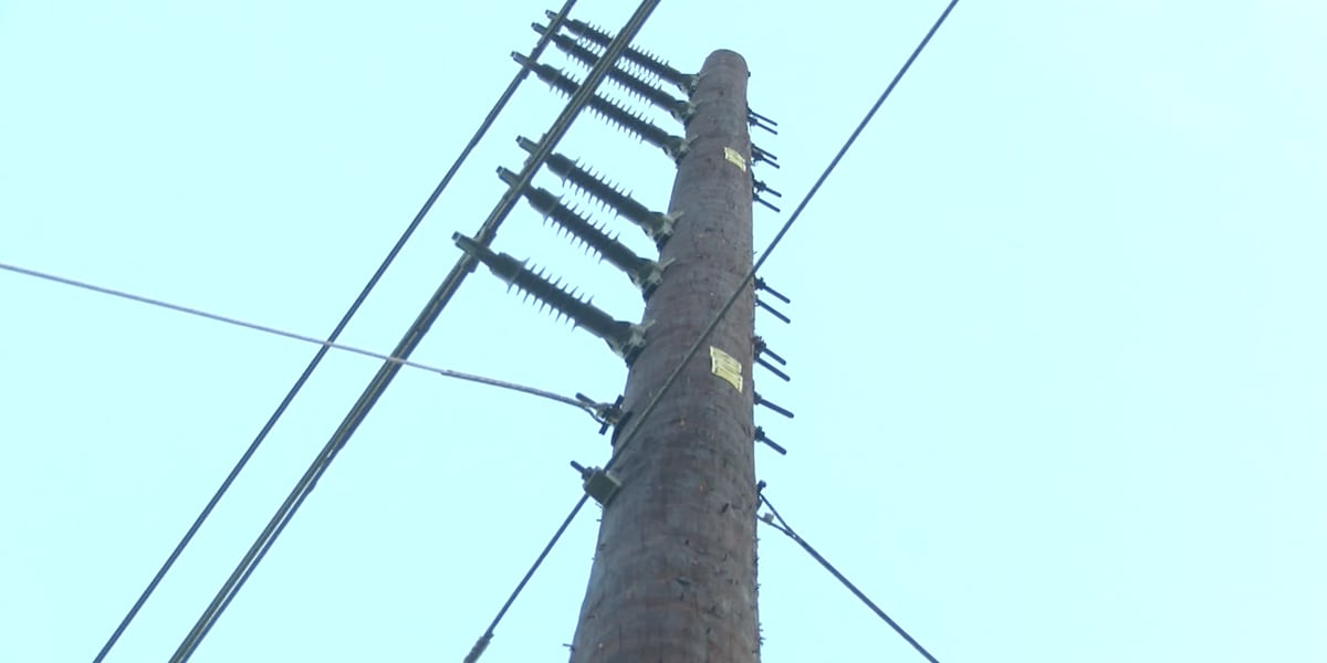 Falling Power Falling power poles stir concerns of wildfire risks, but mitigation ...