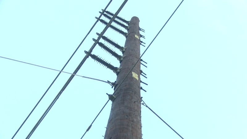 A newly installed power pole in Hahaione Valley.