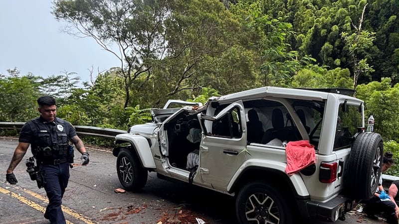 A falling tree struck a vehicle along Hana Highway on Tuesday afternoon, injuring all five...