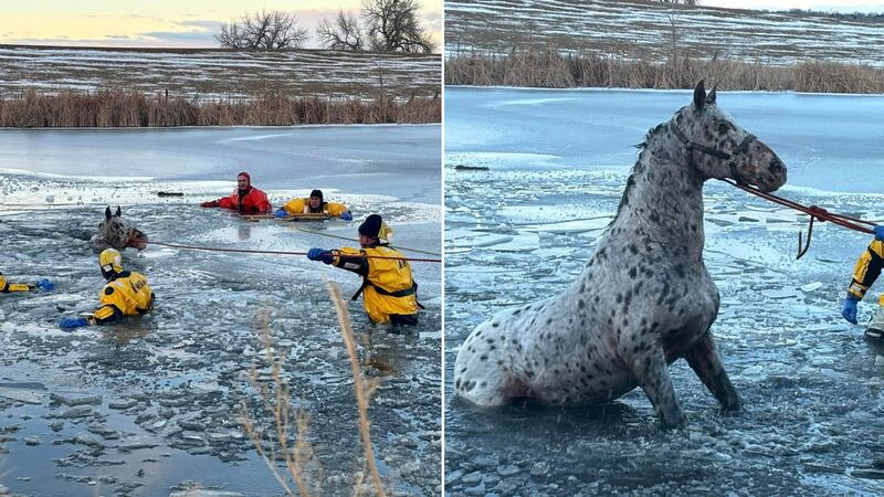 Firefighters hopped into the water wearing ice suits and broke a path back to the shoreline...