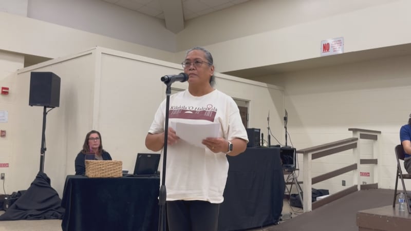 Dozens testified against the military's plan for more telescopes on Haleakala during a public...